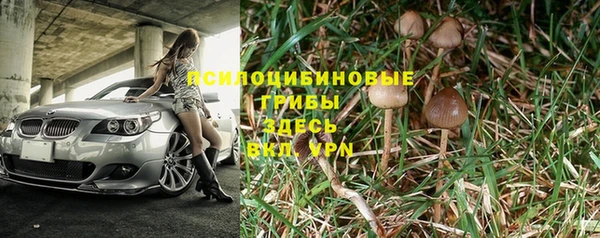 тгк Верея