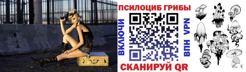 купить наркотик  Владимир  Псилоцибиновые грибы Magic Shrooms 